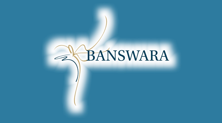 Banswara Syntex Ltd Q2FY25 consolidated PAT at Rs. 5.01 crores